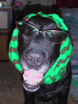 すいかちゃん３号