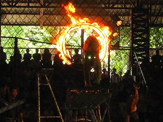 火をくぐるトラ