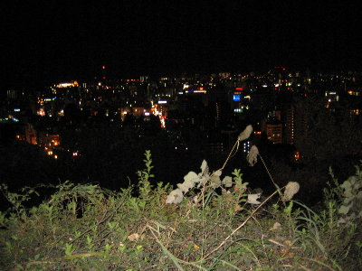 城山４