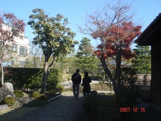 DSC01233.JPG