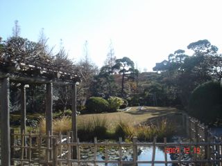 DSC01234.JPG