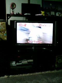 テレビでか.jpg