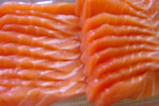 Salmon