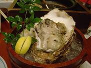 oyster.JPG