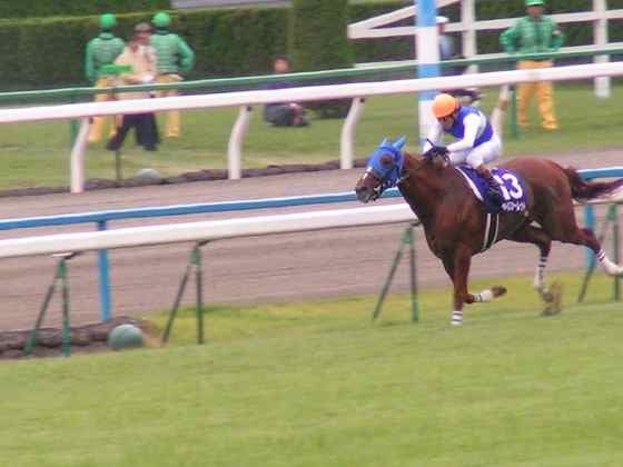 京馬2007秋4