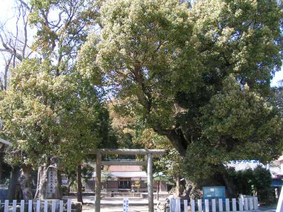 和４那智51補陀洛山寺