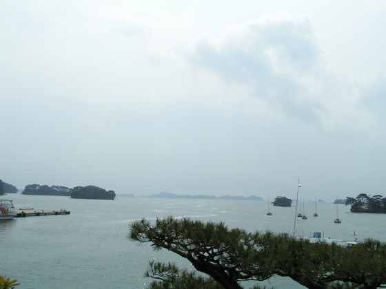 宮城松島22