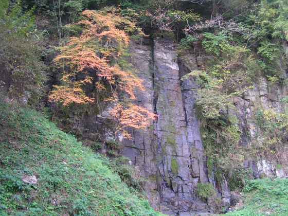 香大麻山01葵滝