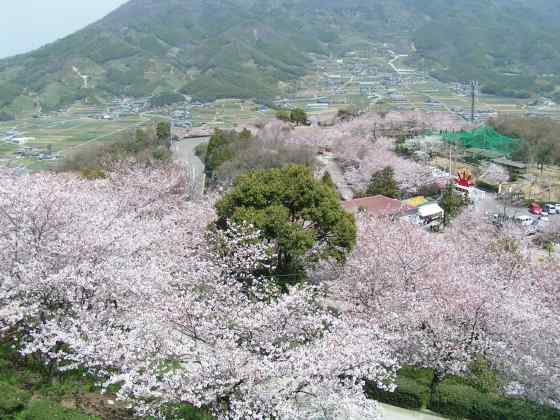 香1朝日森林公園