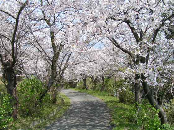 香3爺神公園