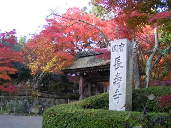 滋a31長寿寺