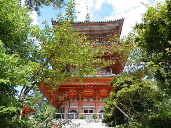 しま海e1向上寺