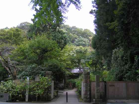 神鎌倉31明月院