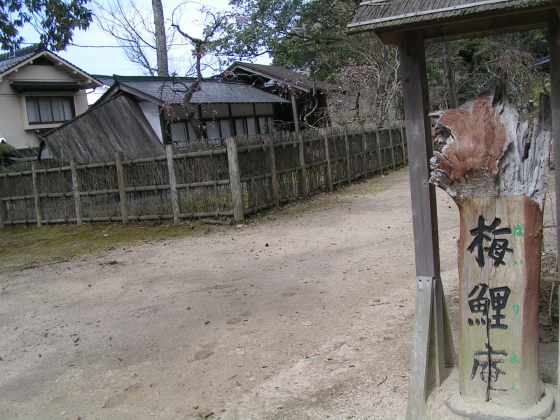 鳥取i1梅鯉庵