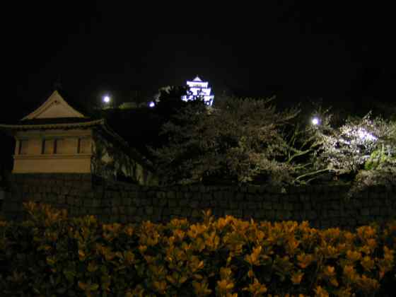 香8丸亀城夜桜