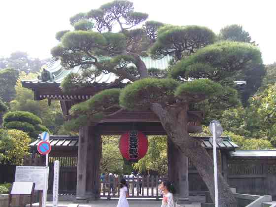 神鎌倉81長谷寺
