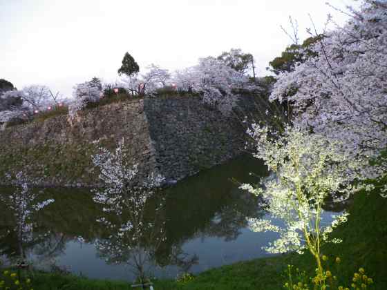 近畿e郡山城跡2