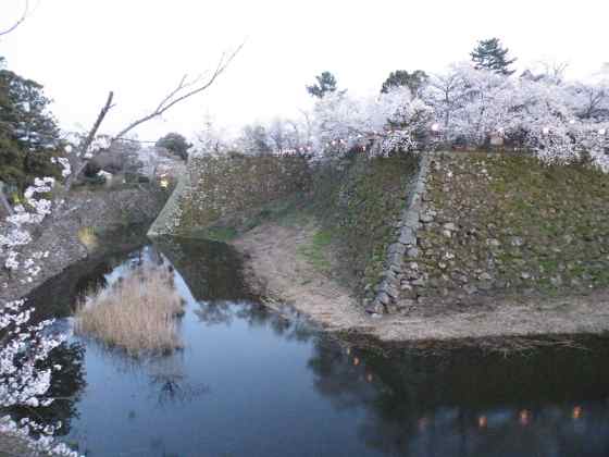 近畿e郡山城跡3