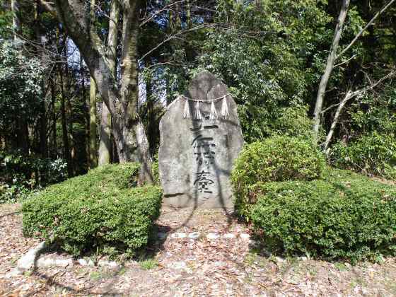 奈5a1土舞台