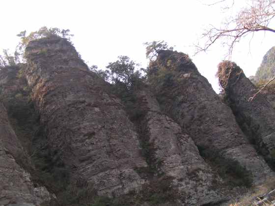 大分2国東g1三の宮の景