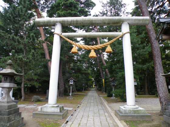 新潟o1榊神社
