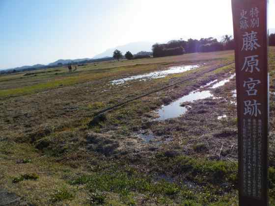 奈５o1藤原宮跡