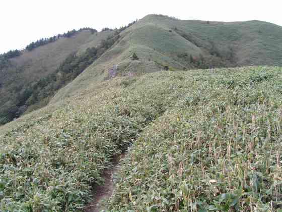 徳剣山登41丸山