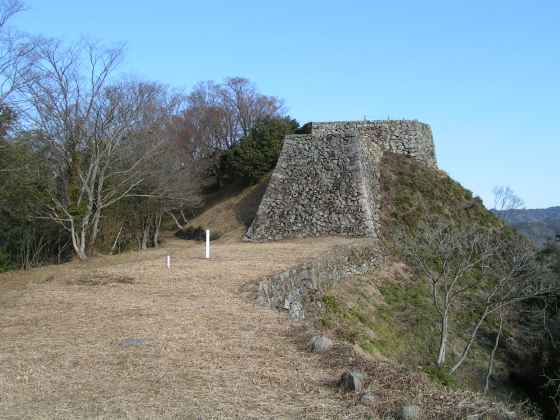 島津和野75