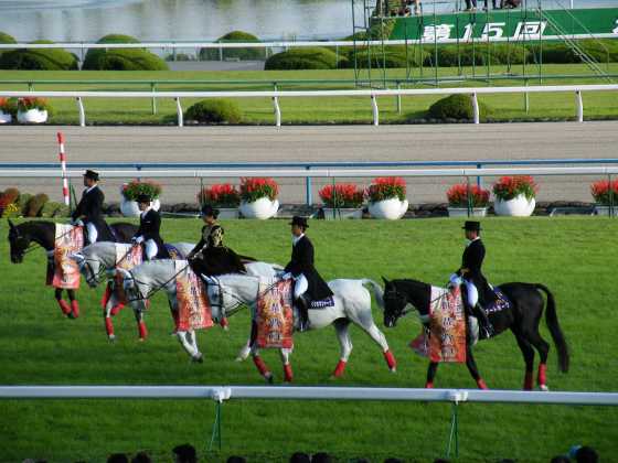 秋華賞アパパネ3