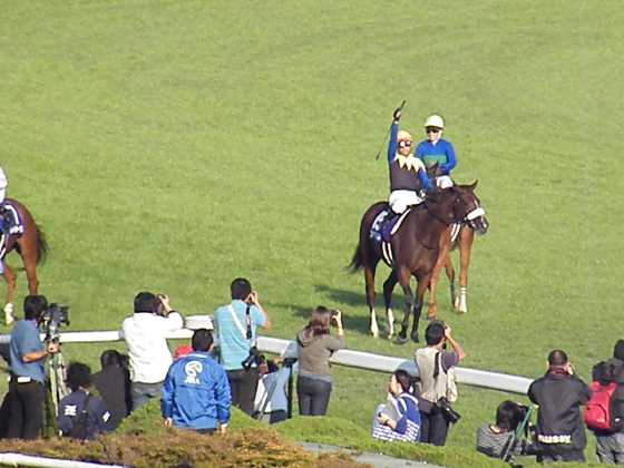 秋華賞アパパネ5