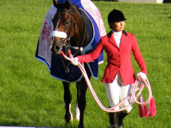 秋華賞アパパネ7