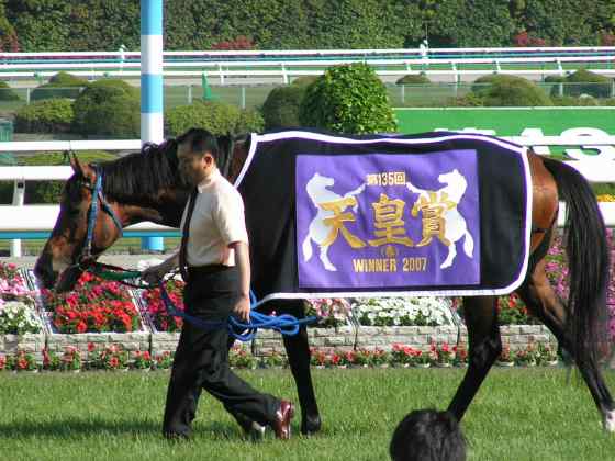 京馬2007天春3