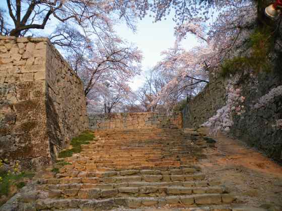 岡山２31津山城跡