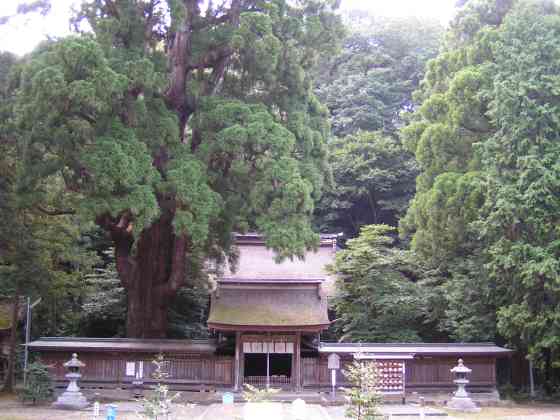 福井小浜61若狭姫神社
