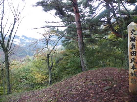 長野i1本城跡