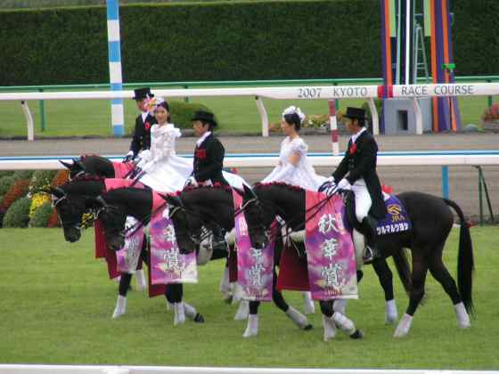 京馬2007秋3