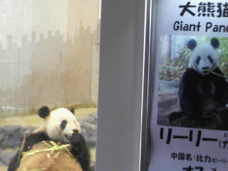 2011040709510002.jpg