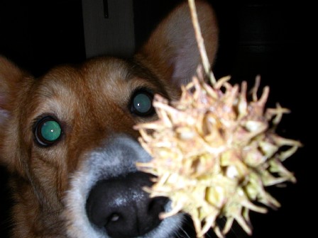 DSCN5554.JPG