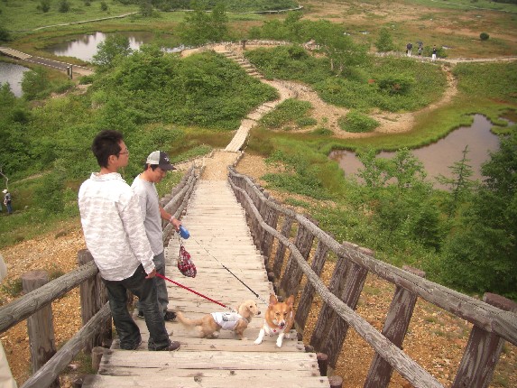 2008.8.16.17.草津 009.jpg