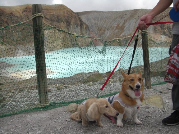 2008.8.16.17.草津 015.jpg