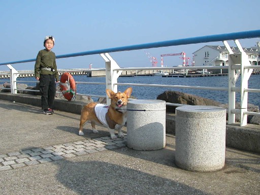 八景島でお散歩
