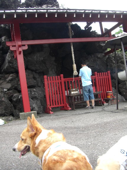 2008.8.16.17.草津 054.jpg