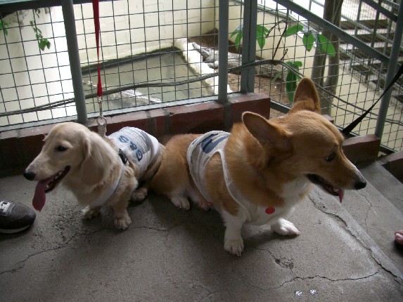 2008.8.16.17.草津 030.jpg