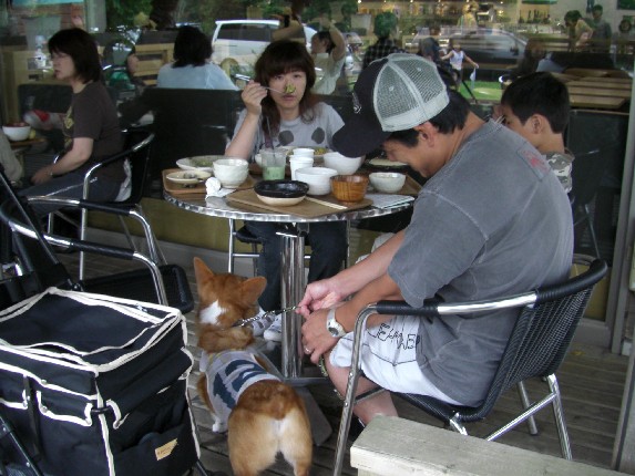 2008.8.16.17.草津 056.jpg