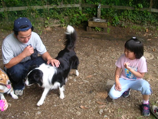 2005-06-20 20:24:54