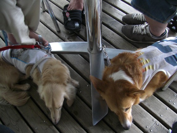 2008.8.16.17.草津 057.jpg