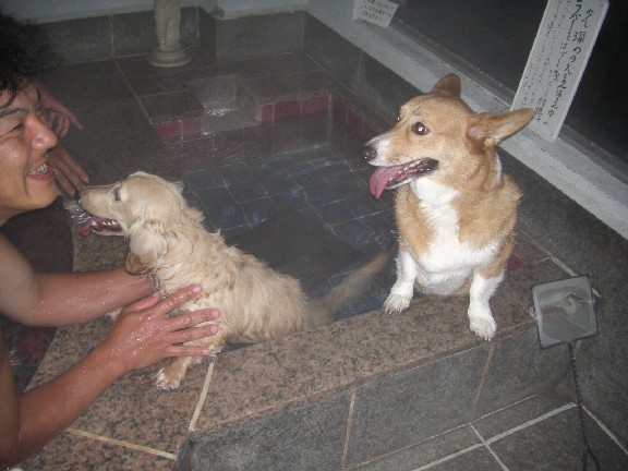 2008.8.16.17.草津 021.jpg