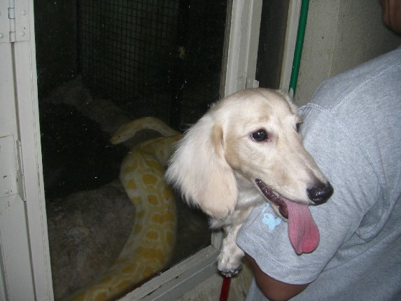 2008.8.16.17.草津 031.jpg