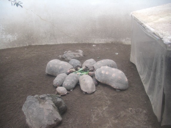 2008.8.16.17.草津 024.jpg