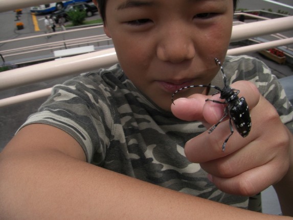 2008.8.16.17.草津 055.jpg